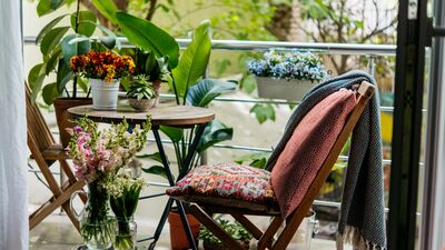 Mis kokulu bahçe yaratmak elinizde!