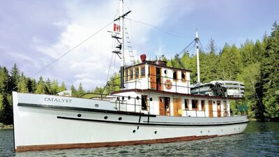 Buz gibi Alaska kıyıları...