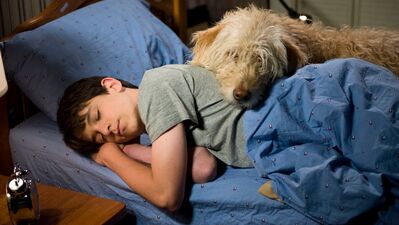 Saftirik Greg'in Günlüğü: İşte Şimdi Yandık...