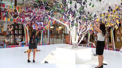 Capitol dilek ağacı bu yıl Nevşehir için yeşeriyor!