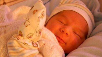 Barbaros Tozan