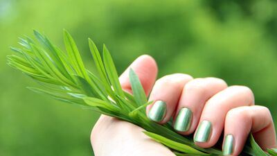 Kış tırnaklarında moda renkler...