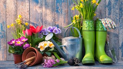 Öğrenmeniz gereken en eğlenceli hobiler