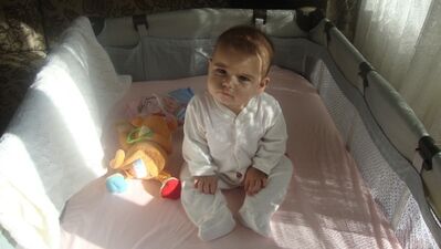 Zeynep Yolasığmaz