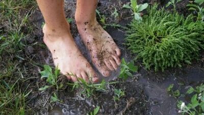 Strese çare: "Toprak!"