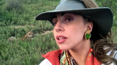 Gaga'nın safaride 13 aslanla imtihanı!