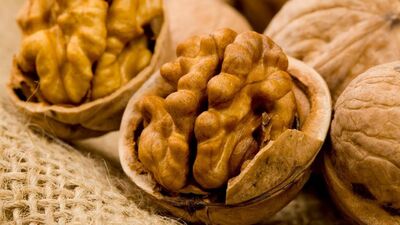 Zeka küpü 6 besin!