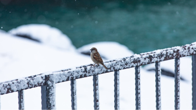 Kar yağışının bilmediğiniz faydaları