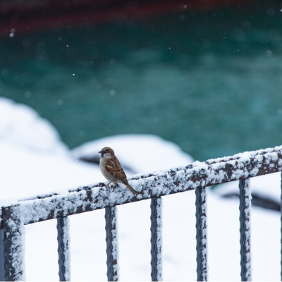 Kar yağışının bilmediğiniz faydaları