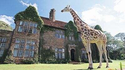 Hayal etmek bedava gerçekleştirmek ucuz!