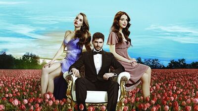 İran'da 'Lale Devri' isyanı!