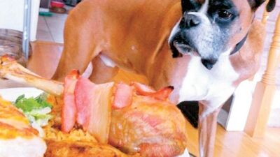 Lennox'un son yemeği Youtube'da rekor kırdı!