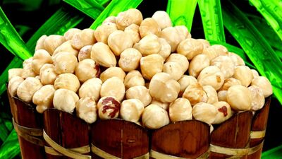 Fındığın en önemli 5 faydası!