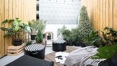 Kış bahçenizi güzelleştirecek dokunuşlar