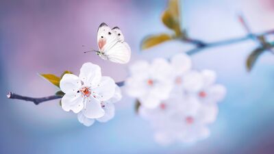 Daha mutlu bir yaşam için 11 adım