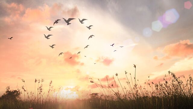 Ruhunuzu rahatlatacak 7 öneri