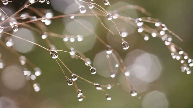 Kötü bir günü iyi hale getirmek için 5 yol