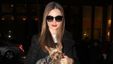 Miranda Kerr kaza geçirdi!