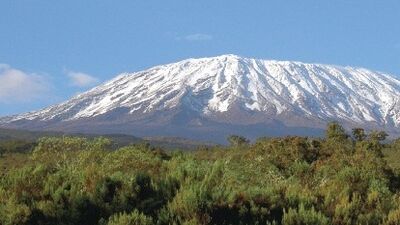 Google dağa çıktı!