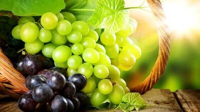 Cilt kanserini önlemede ümit veren bitkiler!