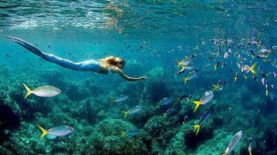 Gerçek denizkızı!