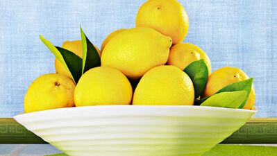 Nane limon tek bitkide buluştu!