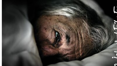 Hafta sonu evde oturmayın, festivali kaçırmayın!