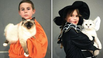 Kediler Almanya'da görücüye çıktı!