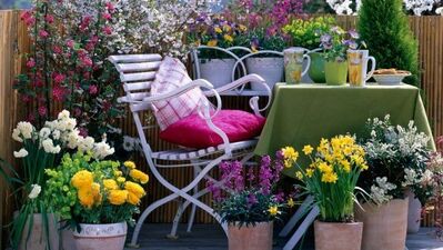 Bahçe süsleme &amp; çiçeklendirme...