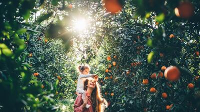 Anne olmanın sağlığa faydaları