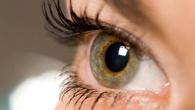 Bakır içerikli dolgu gözaltı morluklarını ve torbalarını kapatıyor…