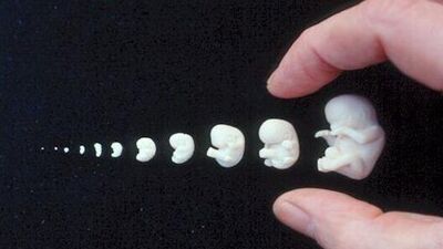 Tüp bebek tedavisine hazırlık aşaması