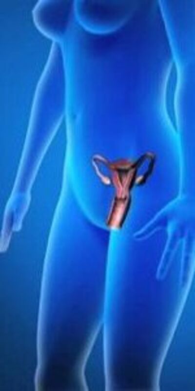 Yumurtalıkların uyarılması