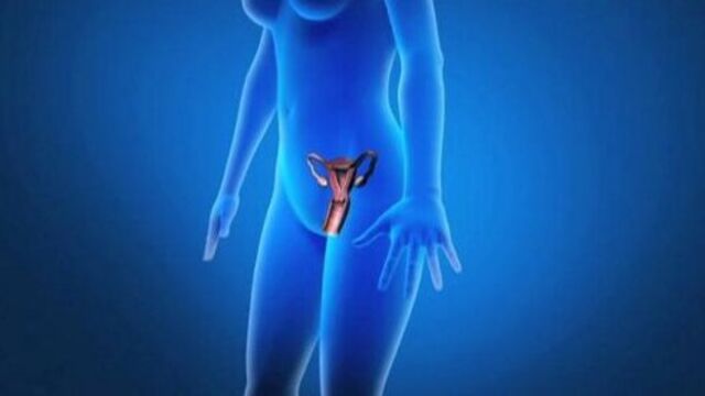 Yumurtalıkların uyarılması