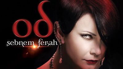 Yedinci albümü bugün çıkıyor!