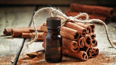 Sonbahar destekçisi tarçının faydaları