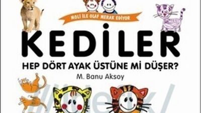 Kediler hep dört ayak üstüne mi düşer?