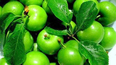 Yeşil eriğin bilinmeyen 10 faydası!