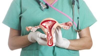 Yumurta bağışı ile hamile kalmak mümkün