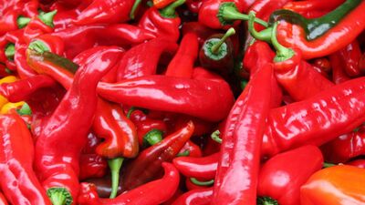 Kırmızı biberin faydaları