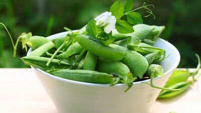 Taze fasulyenin faydaları