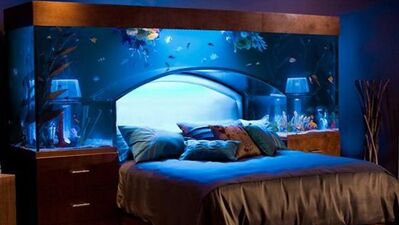 Akvaryumlu mobilya olmaz demeyin