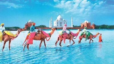 Asabi mizaç ve bakliyat!