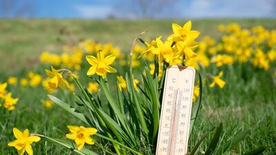 Serinlemenize yardımcı öneriler...