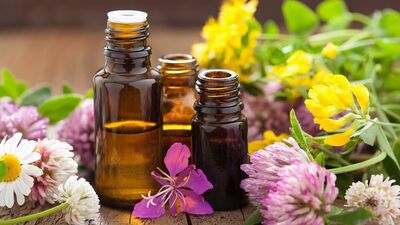 Sinek ısırığı ve böcek sokmalarına iyi geliyor...