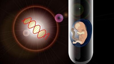 İlaçsız tüp bebek nasıl olur?