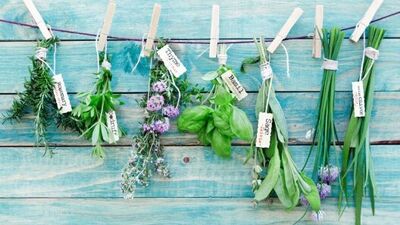 Çamaşır mandalları ile neler yapabileceğinizi biliyor musunuz?