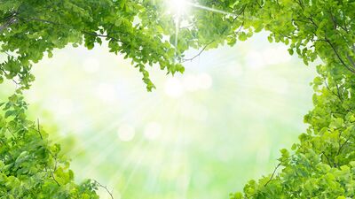 Sağlık problemleri ve oruç (2. Bölüm)