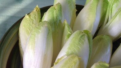 Kara hindibanın beyaz kuzeni...