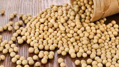 Soya fasulyesinin faydaları…